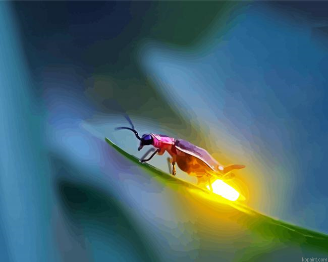 Firefly Light Insect Painting By Numberss.png