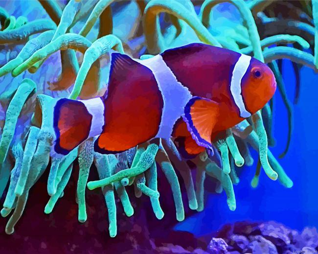 Fish And Reef Paint By Numbers