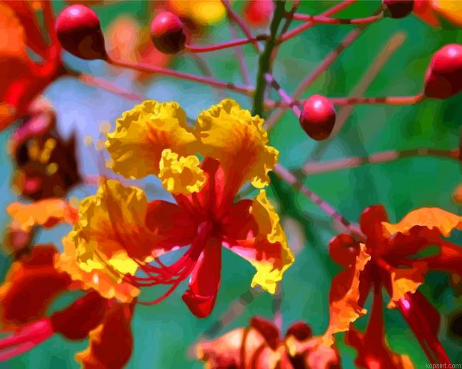 Flamboyan Flower Painting By Numberss.png