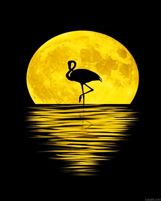 Flamingo Silhouette Moon New Painting By Numberss.png