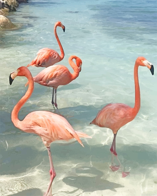 Flamingos Birds New Painting By Numberss.png