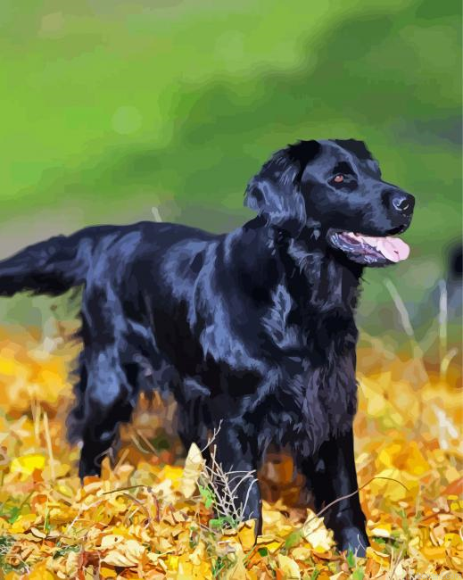 Flat Coated Retriever And Golden Leaves Painting By Numberss.png