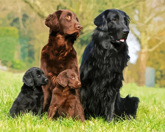 Flat Coated Retriever Dogs Painting By Numberss.png