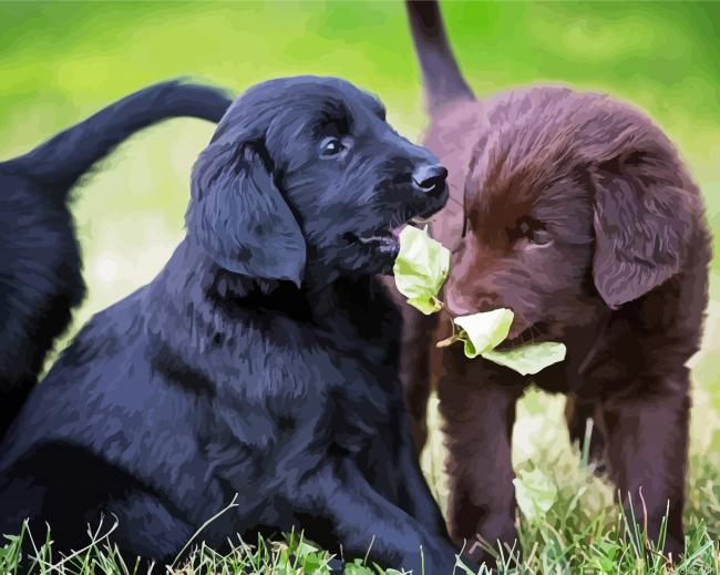 Flat Coated Retriever Puppies Painting By Numberss.png