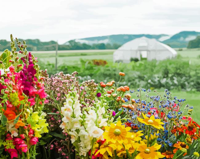 Floral Farm Flowers Paint By Numbers