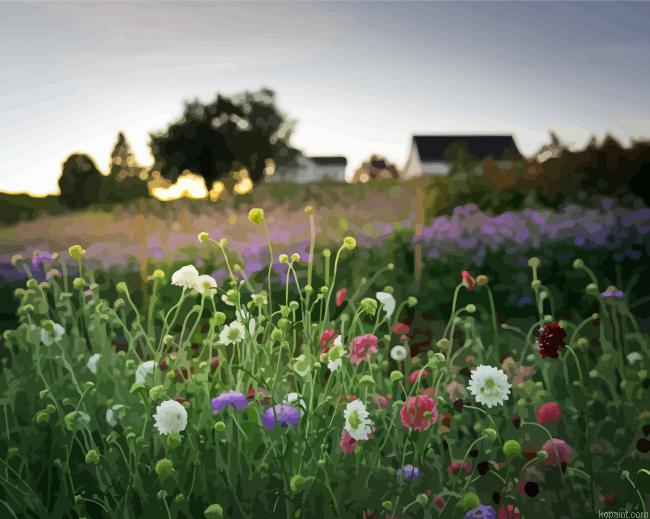Floral Farm In Sunset Paint By Numbers