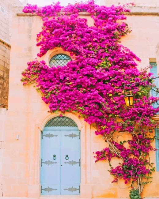 Floral Medina Gate New Painting By Numberss.png
