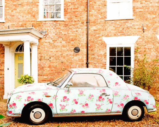 Floral Nissan Figaro Engines Painting By Numberss.png