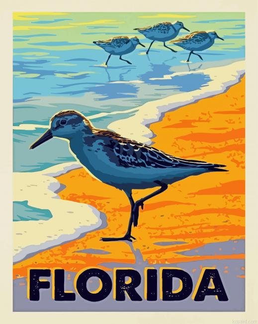 Florida Sea Birds Painting By Numberss.png