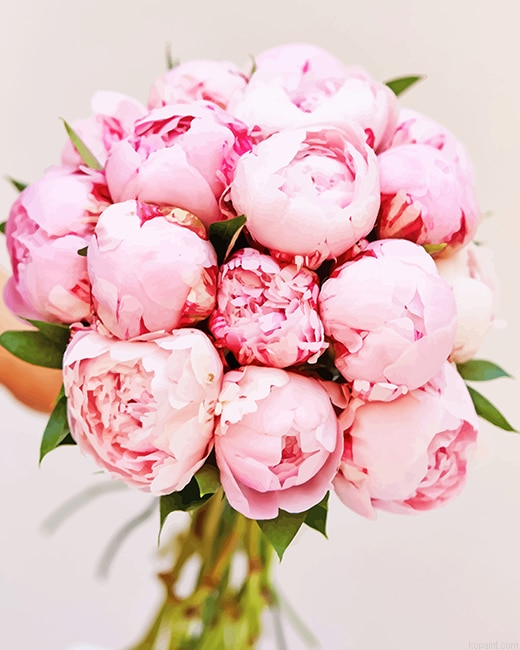 Flower Bouquet Pink Peony New Painting By Numberss.png