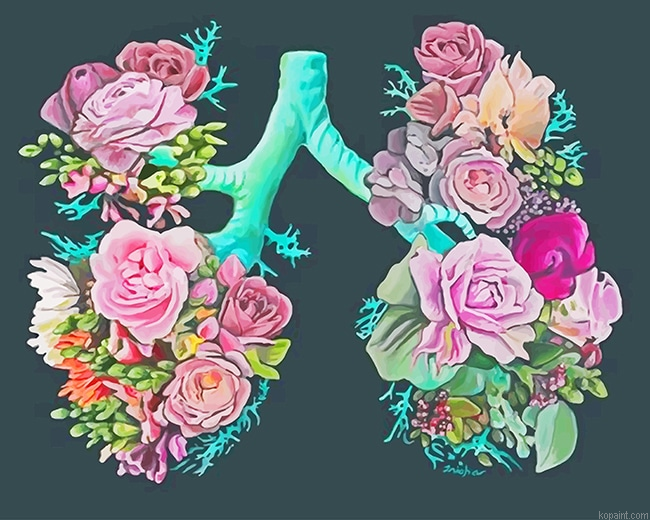 Flower Lungs New Painting By Numberss.png