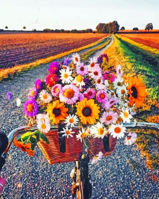 Flowers And Bike Landscapes Painting By Numberss.png