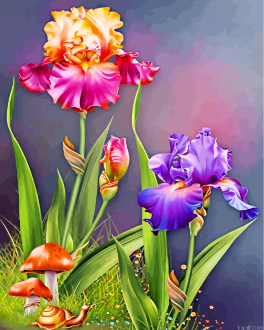 Flowers And Mashrooms Painting By Numberss.png