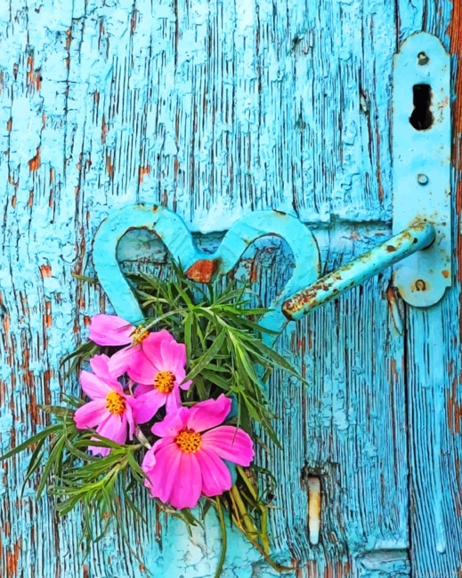Flowers In Door New Painting By Numberss.png