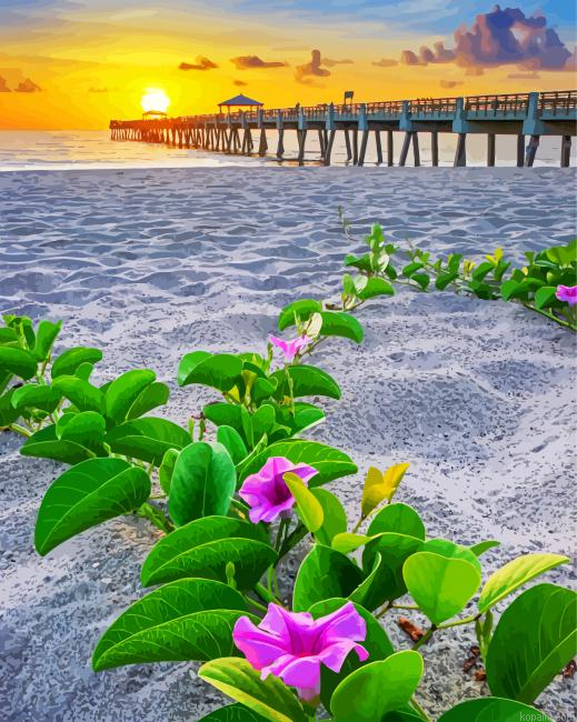 Flowers On Beach At Sunset Paint By Numbers