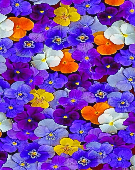 Flowers Paint By Numbers