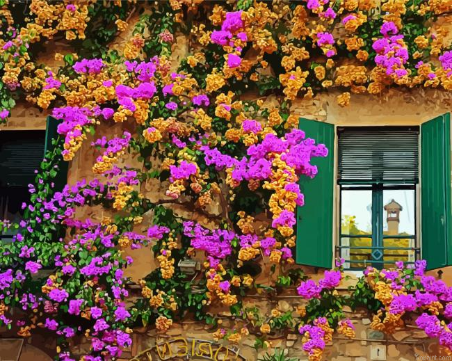 Flowers Wall Painting By Numberss.png