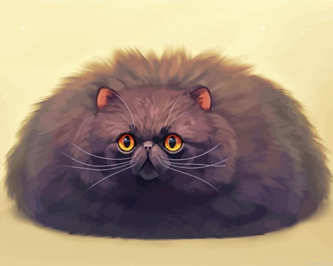 Fluffy Black Cat Paint By Numbers