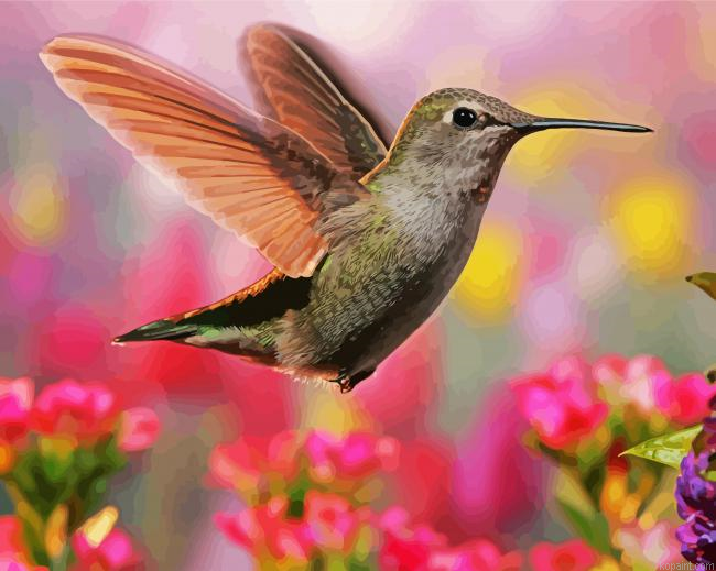 Flying Beautiful Hummingbird Painting By Numberss.png