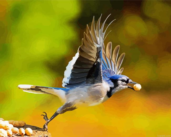 Flying Blue Jays Painting By Numberss.png