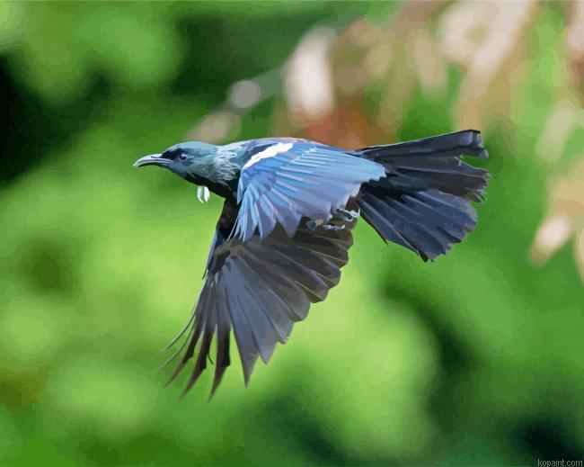 Flying Honeyeater Tui Painting By Numberss.png