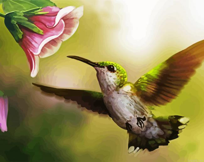 Flying Hummingbird Painting By Numberss.png