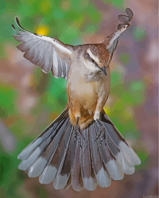 Flying Northern Mockingbird Painting By Numberss.png