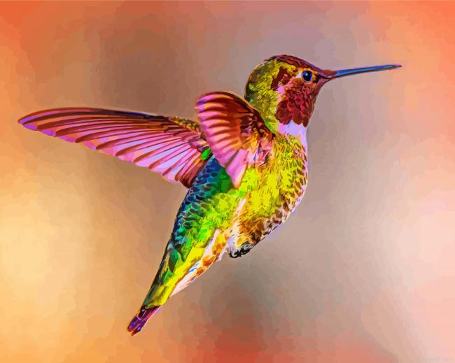 Flying Rainbow Hummingbird Painting By Numberss.png