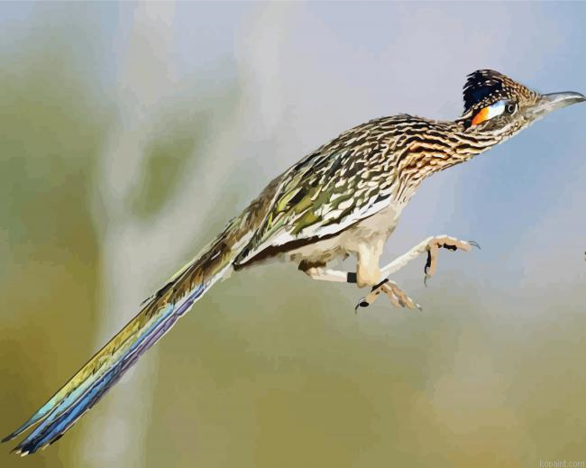 Flying Roadrunner Paint By Numbers.png