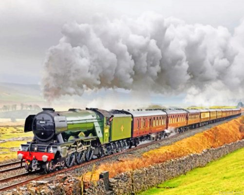 Flying Scotsman Steam Train Painting By Numberss.png