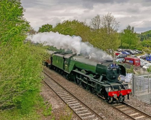 Flying Scotsman Train Painting By Numberss.png