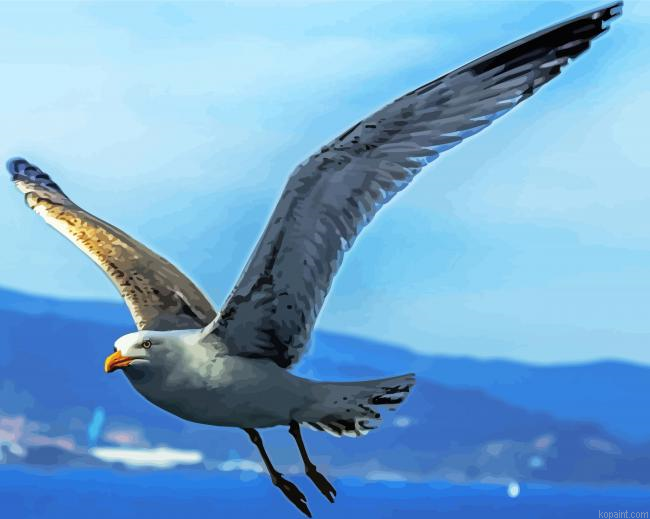 Flying Seagull Painting By Numberss.png