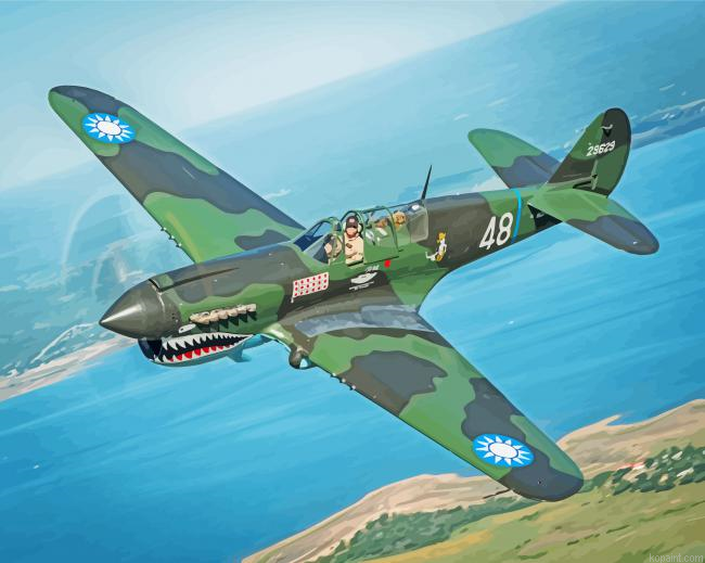Flying Tiger Plane Painting By Numberss.png