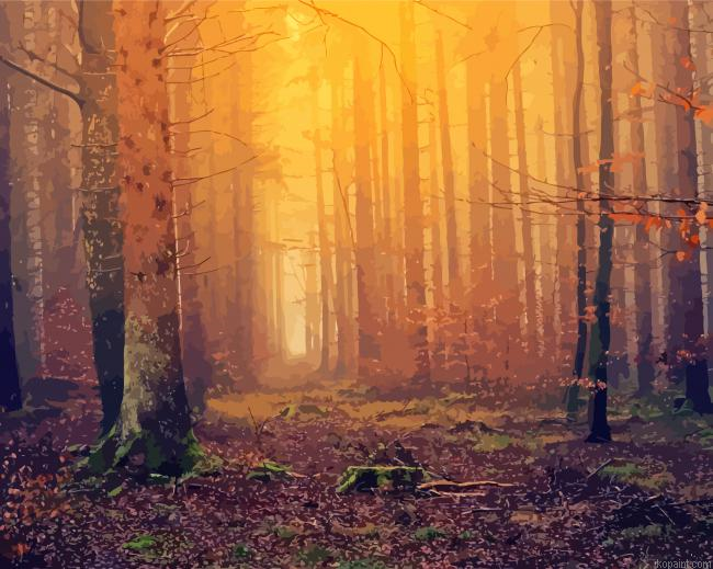 Forest Mystical Trees Painting By Numberss.png