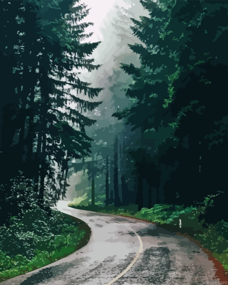 Forest Rain Landscape Paint By Numbers