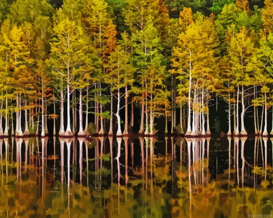 Forest In Lakeside Reflection Painting By Numberss.png