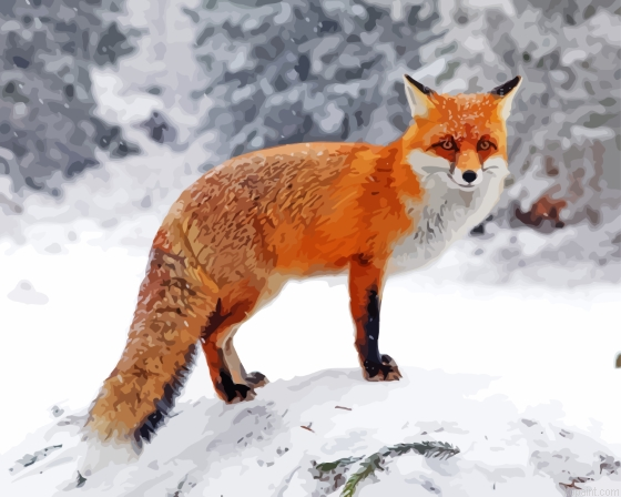 Fox In The Snow Painting By Numberss.png