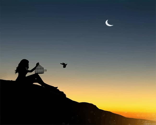Freedom Silhouette New Painting By Numberss.png