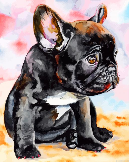 French Bulldog Puppy Painting By Numberss.png