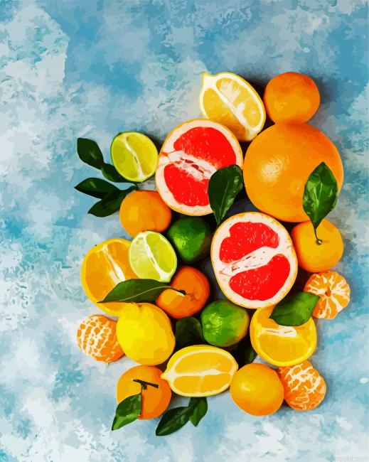 Fresh Citrus Fruits Art Paint By Numbers.png