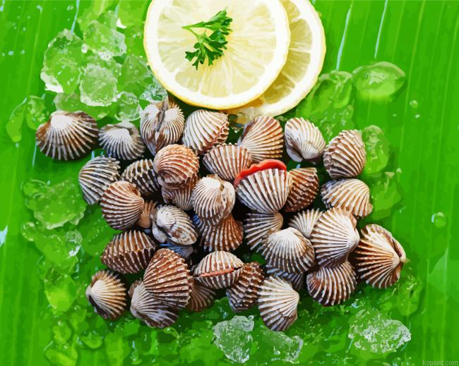Fresh Cockles With Lemon Paint By Numbers