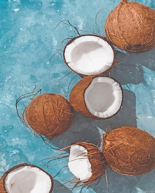 Fresh Coconut New Painting By Numberss.png