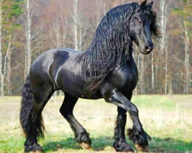 Friesian Horse Painting By Numberss.png