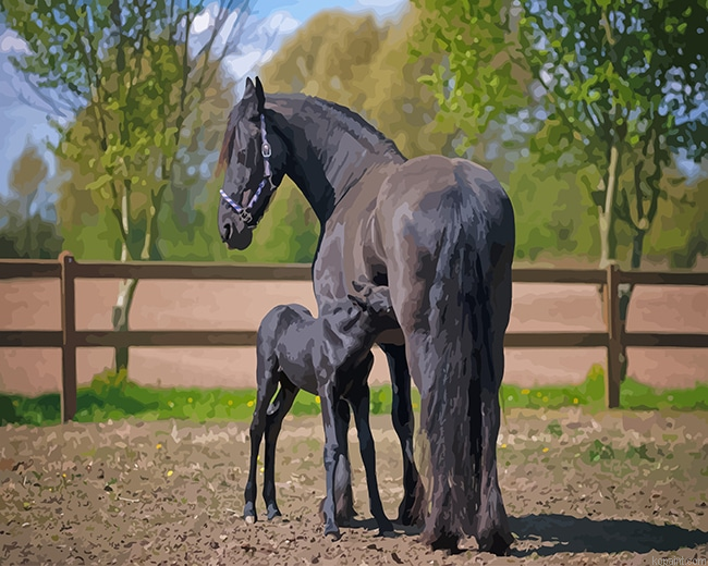 Friesian Horses New Painting By Numberss.png