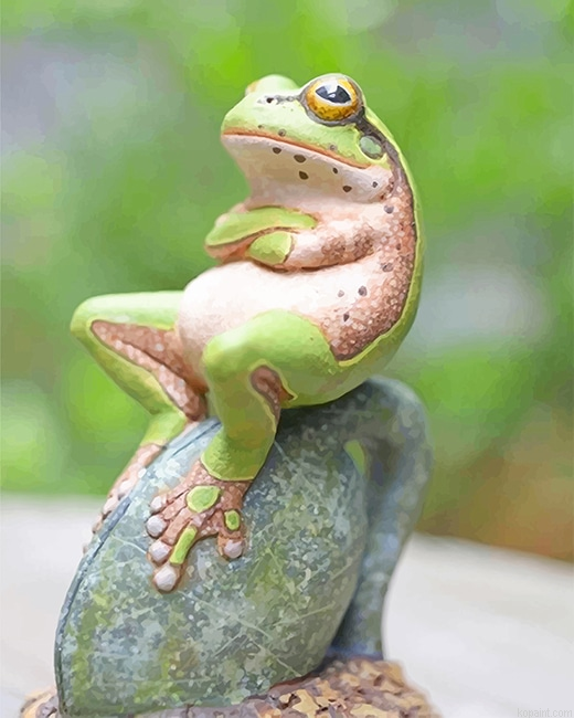 Frog Relaxes On A Rock New Painting By Numberss.png
