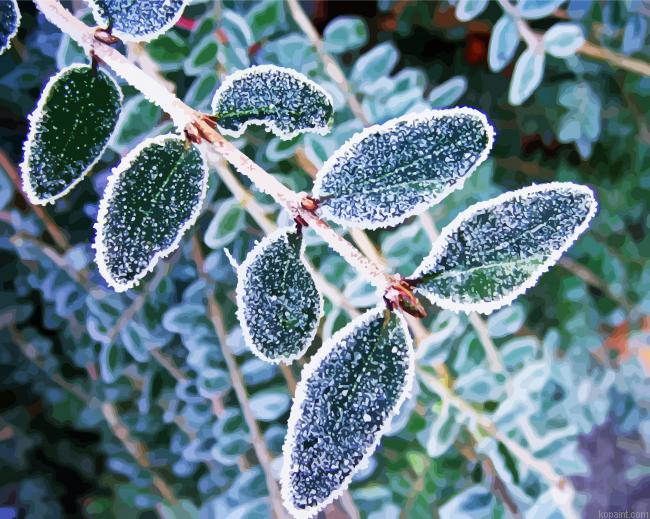 Frosts On Leaves Paint By Numbers.png