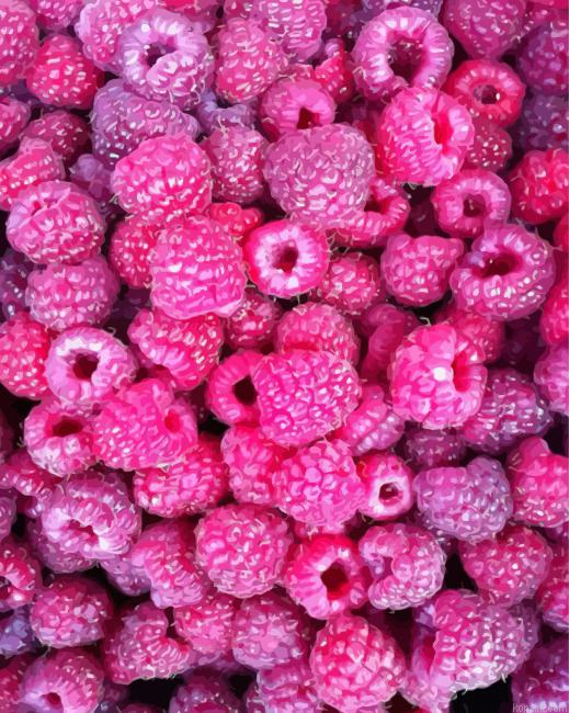 Fuchsia Berries Painting By Numberss.png