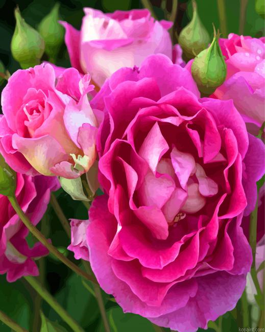 Fuchsia Floribunda Flower Painting By Numberss.png