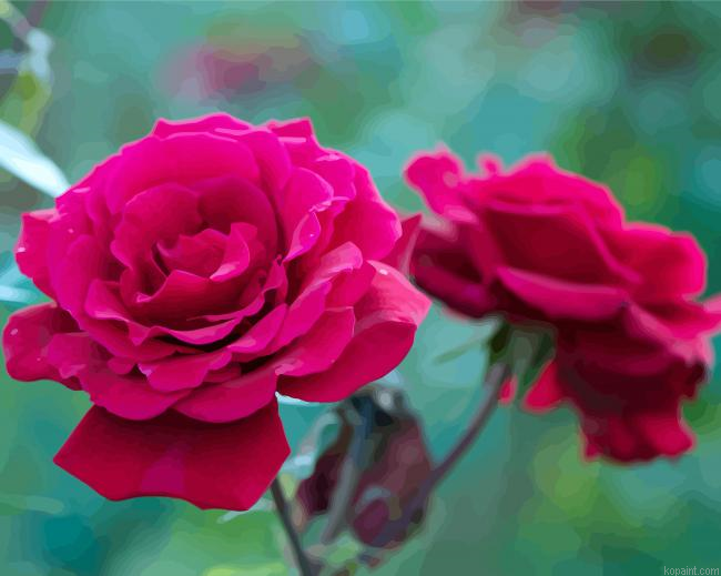 Fuchsia Floribunda Flowers Painting By Numberss.png