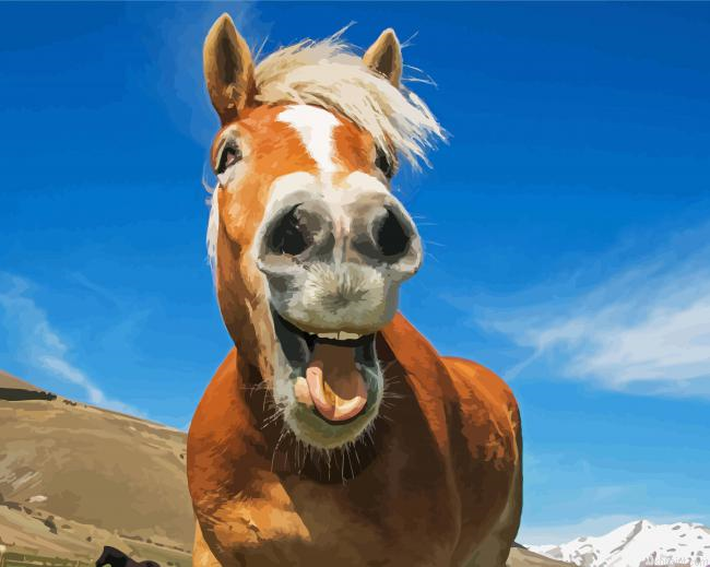 Funny Animal Horse Painting By Numberss.png